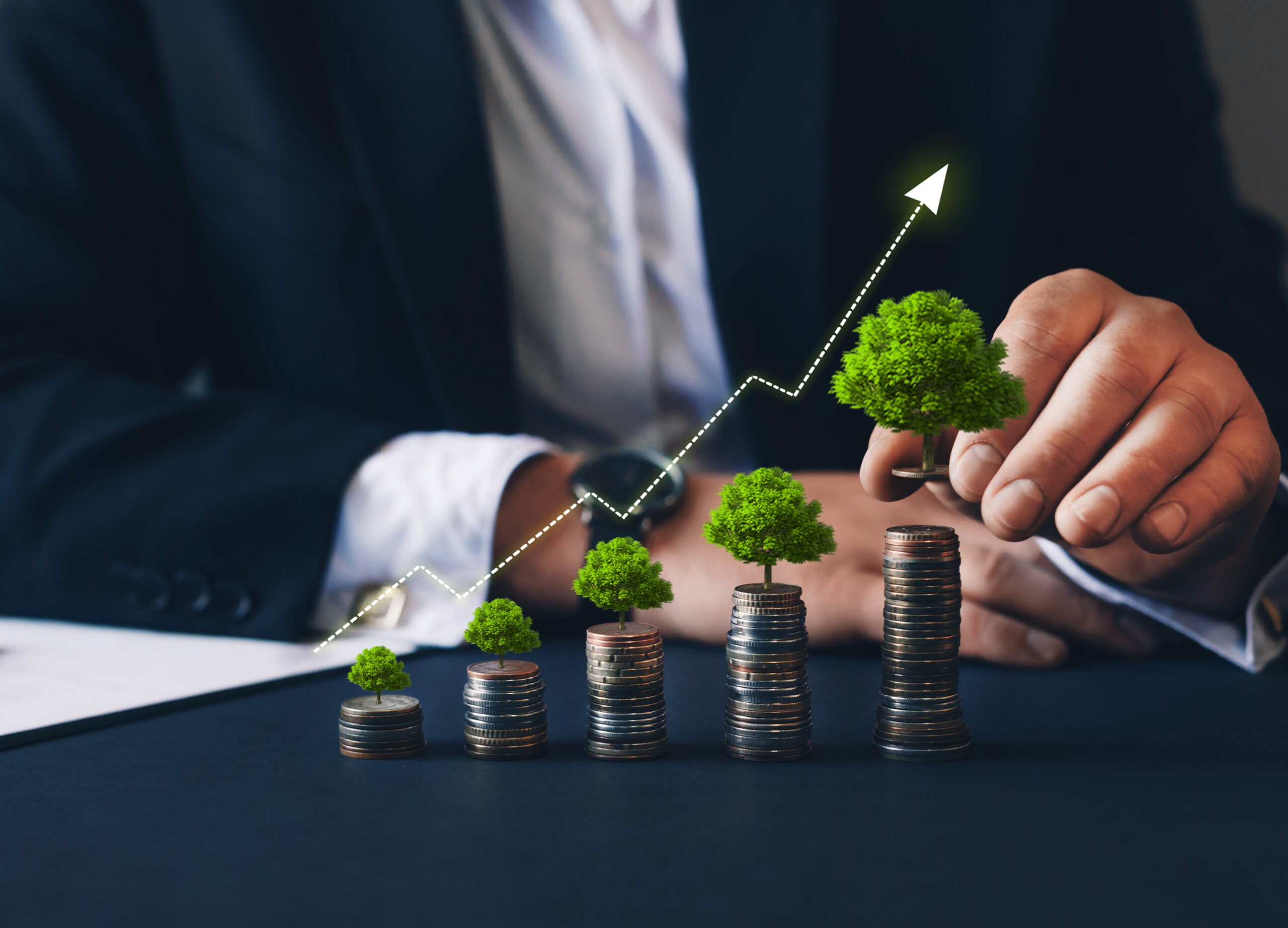 Bharat Investment – growth & wealth